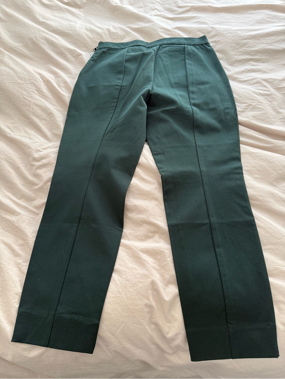 Everlane side zip Forest Green Cropped Tailored Pants